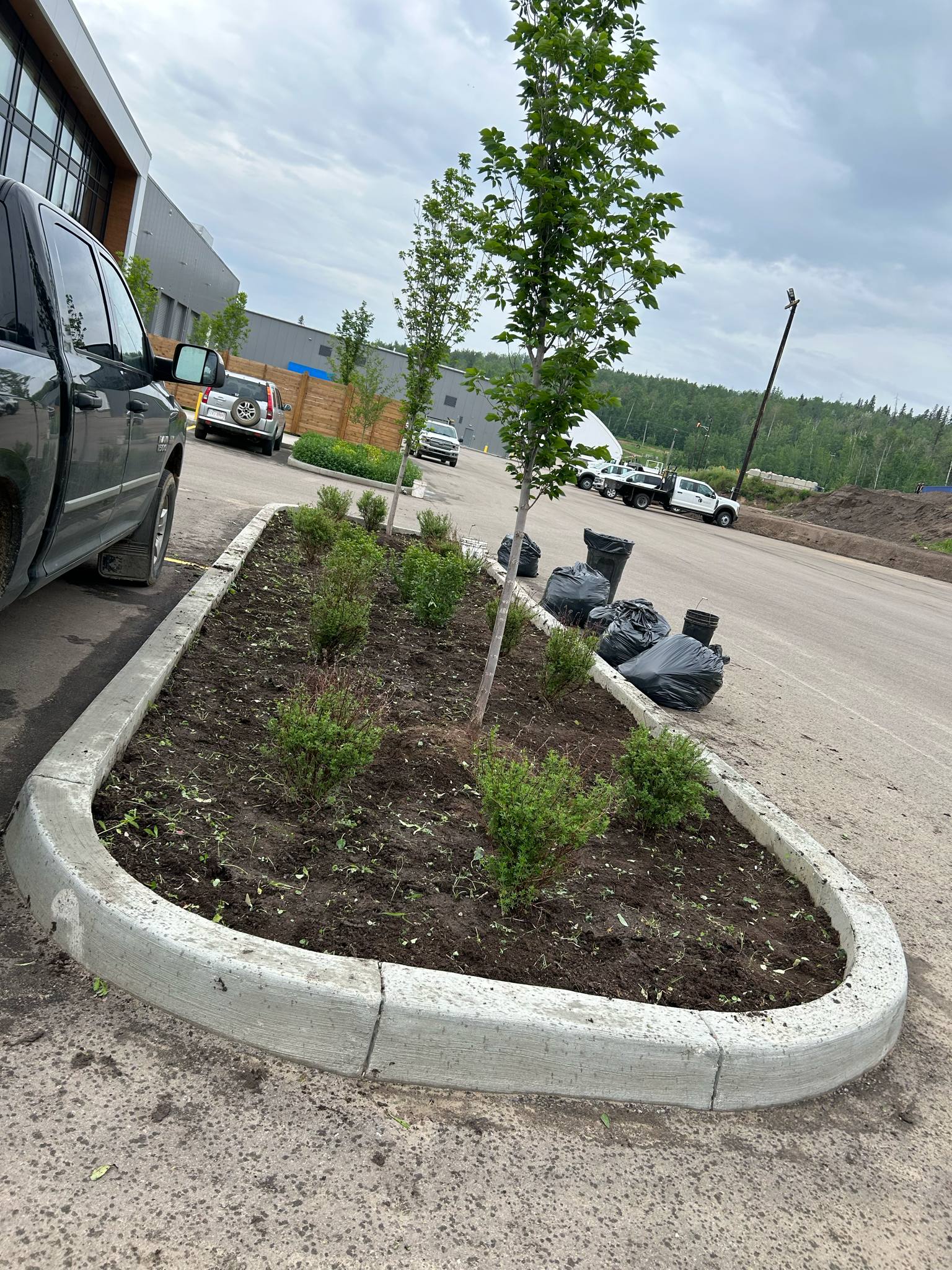 Weed control and cleanup — after