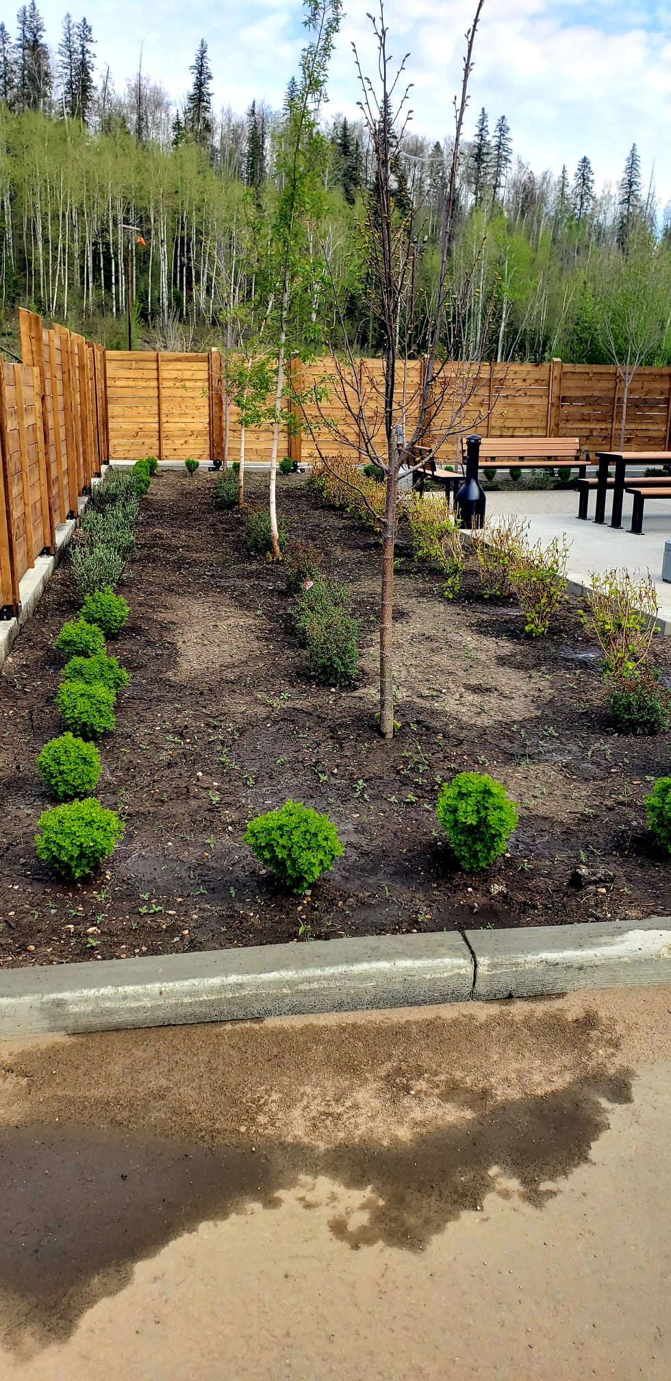 Irrigation and lawn care service